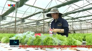 Bầu cử tại Lâm Đồng