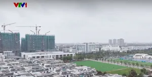 Phân khúc chung cư ở các tỉnh hút dòng tiền