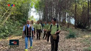 Chung tay giữ rừng bằng giao ước xanh