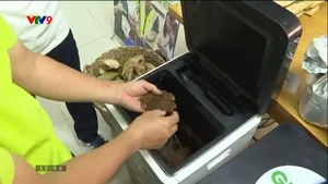 Để rác không chỉ là thứ bỏ đi