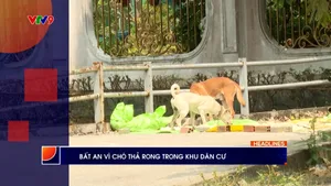 Thời sự: Phương Nam hôm nay (28/3/2026)