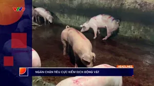 Thời sự: Phương Nam hôm nay (03/4/2026)