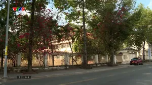 TP. Hồ Chí Minh: Tìm giải pháp có thêm phòng học