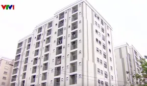 Làm giả hồ sơ mua nhà ở xã hội: Nguy cơ mất tiền và phải chịu trách nhiệm hình sự