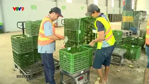 Dùng công nghệ thay đổi cách phân phối nông sản