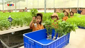 Hiệu quả từ mô hình nông nghiệp trải nghiệm