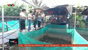 Rong ruổi Cồn Sơn