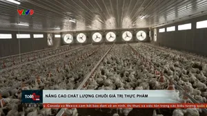Nâng cao chất lượng chuỗi giá trị thực phẩm