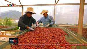 Tuân thủ ESG rộng cửa tiếp cận vốn cho doanh nghiệp