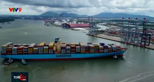 Cước tàu biển tăng cao, doanh nghiệp gặp khó