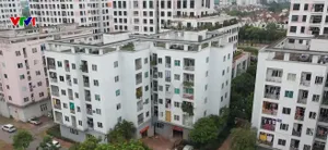Nhà ở xã hội cho thuê: Lời giải cho bài toán an cư