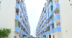 TP Hồ Chí Minh sẽ phát triển 50.000 căn nhà ở xã hội cho thuê