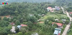 Nhiều diện tích có sổ đỏ biến thành đất rừng