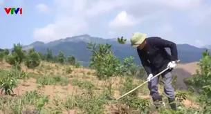 Gần 12 triệu ha đất thoái hóa cần được hồi sinh