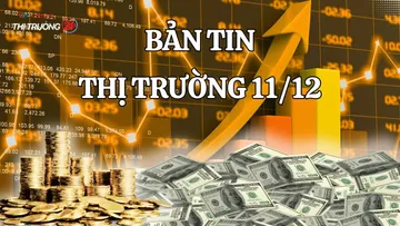 Bản tin Thị trường ngày 11/12