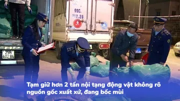 Tạm giữ hơn 2 tấn nội tạng động vật không rõ nguồn gốc xuất xứ đang bốc mùi