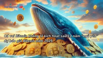 Cá voi Bitcoin khổng lồ kích hoạt sau 11 năm “ngủ yên”