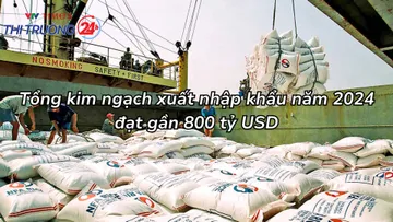 Tổng kim ngạch xuất nhập khẩu năm 2024 đạt gần 800 tỷ USD