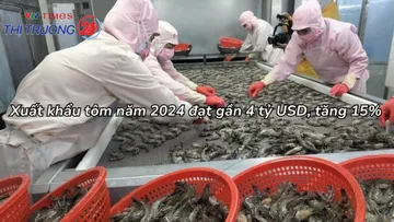 Xuất khẩu tôm năm 2024 đạt gần 4 tỷ USD, tăng 15%