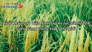 Xuất khẩu gạo Việt Nam lập kỷ lục năm 2024, vững vàng trong top 3 thế giới