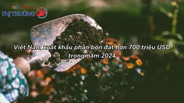 Xuất khẩu phân bón của Việt Nam thu về hơn 700 triệu USD