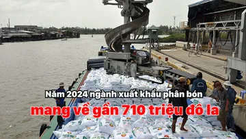 Xuất khẩu phân bón mang về gần 710 triệu USD trong năm 2024