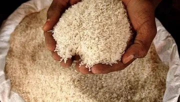 Giá gạo Ấn Độ chạm "đáy" 18 tháng