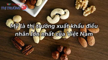 Mỹ là thị trường xuất khẩu điều nhân lớn nhất của Việt Nam