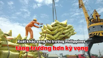 Xuất khẩu sang thị trường Philippines tăng trưởng hơn kỳ vọng