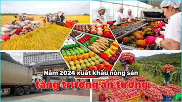 Năm 2024 xuất khẩu nông sản tăng trưởng ấn tượng
