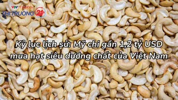 Mỹ chi gần 1,2 tỷ USD mua hạt siêu dưỡng chất của Việt Nam