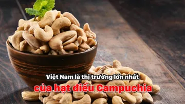 Việt Nam là thị trường lớn nhất của hạt điều Campuchia