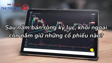 Sau năm bán ròng kỷ lục, khối ngoại còn nắm giữ những cổ phiếu nào?