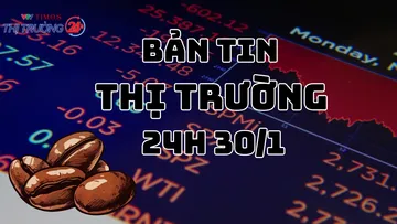 Bản tin Thị trường 24h ngày 30/1