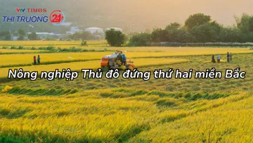 Nông nghiệp Thủ đô đứng thứ hai miền Bắc