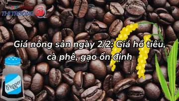 Giá nông sản ngày 2/2: Giá hồ tiêu, cà phê, gạo ổn định