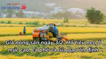 Giá nông sản ngày (3/2): Hồ tiêu neo ở mức cao, cà phê và lúa gạo ổn định