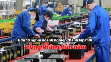 Hơn 10 nghìn doanh nghiệp thành lập mới trong tháng đầu năm