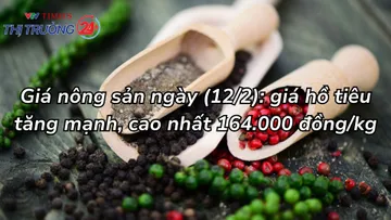 Giá nông sản ngày 12/2: Giá hồ tiêu tăng mạnh, cao nhất 164.000 đồng/kg