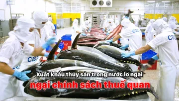 Xuất khẩu thủy sản trong nước lo ngại chính sách thuế quan