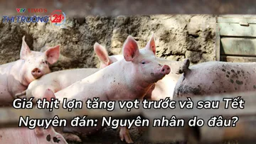 Giá thịt lợn tăng vọt trước và sau Tết Nguyên đán: Nguyên nhân do đâu?