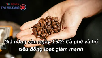 Giá nông sản ngày 15/2: Cà phê và hồ tiêu đồng loạt giảm mạnh