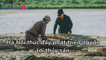 Hà Nội thúc đẩy phát triển nguồn lợi thủy sản