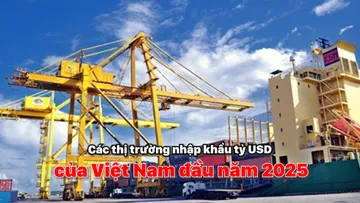 Các thị trường nhập khẩu tỷ USD của Việt Nam đầu năm 2025