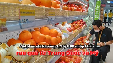 Việt Nam chi khoảng 2,4 tỷ USD nhập khẩu rau quả từ Trung Quốc và Mỹ