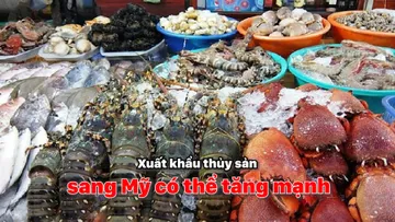 Xuất khẩu thủy sản sang Mỹ có thể tăng mạnh