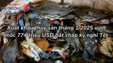 Xuất khẩu thủy sản tháng 1/2025 vượt mốc 774 triệu USD bất chấp kỳ nghỉ Tết