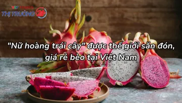 "Nữ hoàng trái cây" được thế giới săn đón, giá rẻ bèo tại Việt Nam
