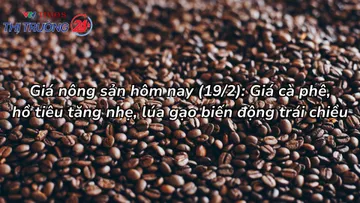 Giá nông sản hôm nay (19/2): Giá cà phê, hồ tiêu tăng nhẹ, lúa gạo biến động trái chiều