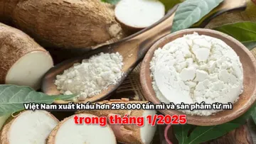 Việt Nam xuất khẩu hơn 295.000 tấn mì và sản phẩm từ mì trong tháng 1/2025